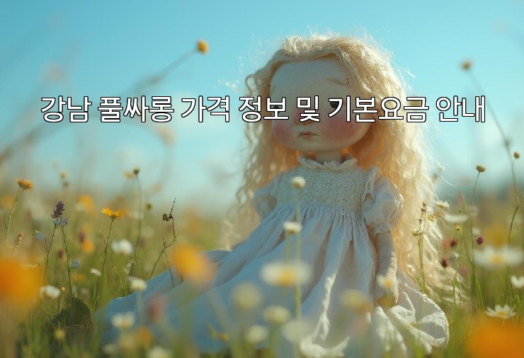강남 풀싸롱 가격 정보 및 기본요금 안내 강남 풀싸롱 가격 정보 및 기본요금 안내